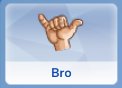 Bro